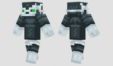 Racoon Man Skin for Minecraft