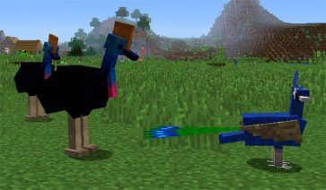 Exotic Birds Mod for Minecraft 1.19.2, 1.18.2, 1.16.5 and 1.12.2
