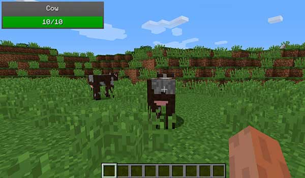 Image where we can see a health indicator, in this case of a cow, generated by the ToroHealth Damage Indicators mod.
