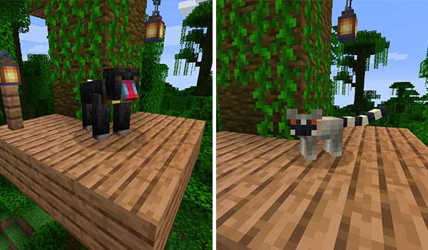 Image where we can see two examples of the primate species added by the Monke Madness mod.