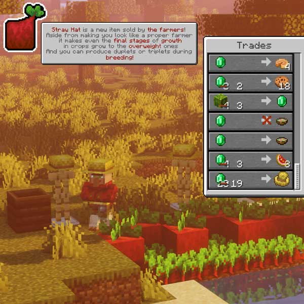 Image where we can see an example of some of the new features that the Overweight Farming mod adds to the farming system of Minecraft.
