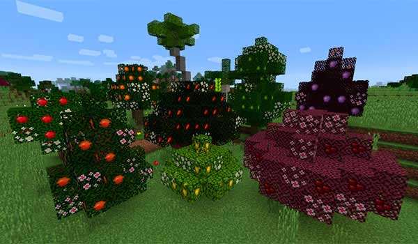 Image where we can see an exhibition with the fruit trees added by the Terraqueous mod.