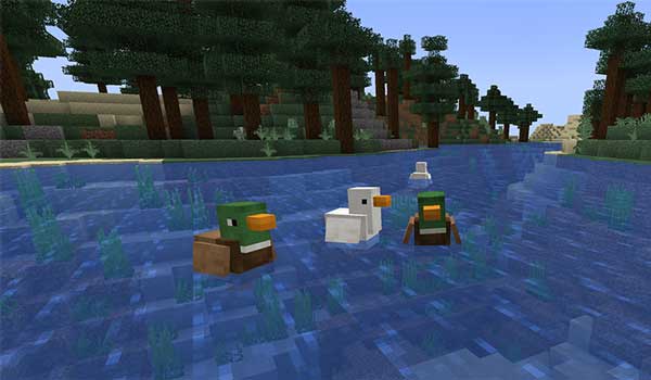 Image where we can see the ducks generated by the Duckling mod swimming in the water of a river.